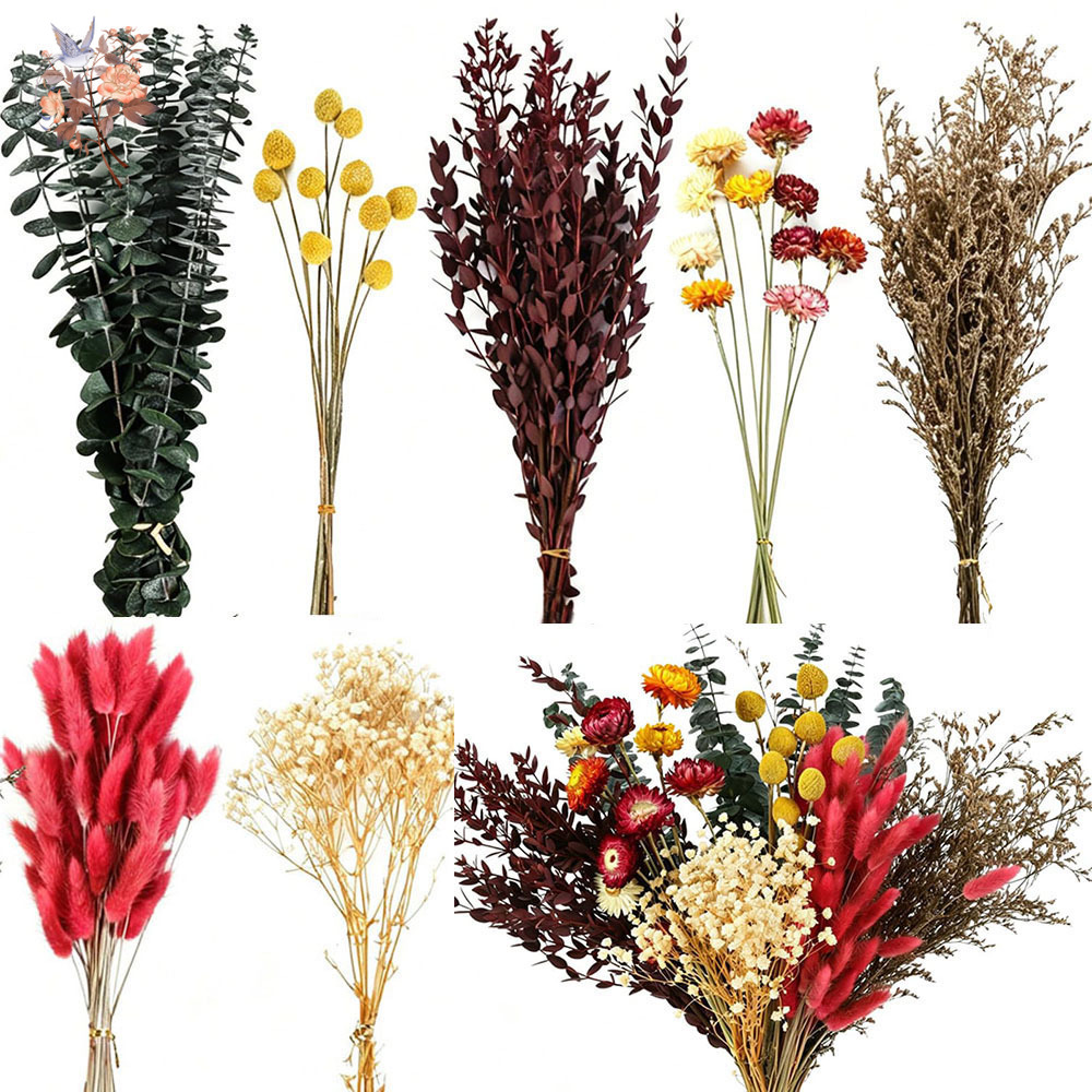 Florist Supply Bulk - Gedroogde bloemen, grootverpakking met 7 soorten,