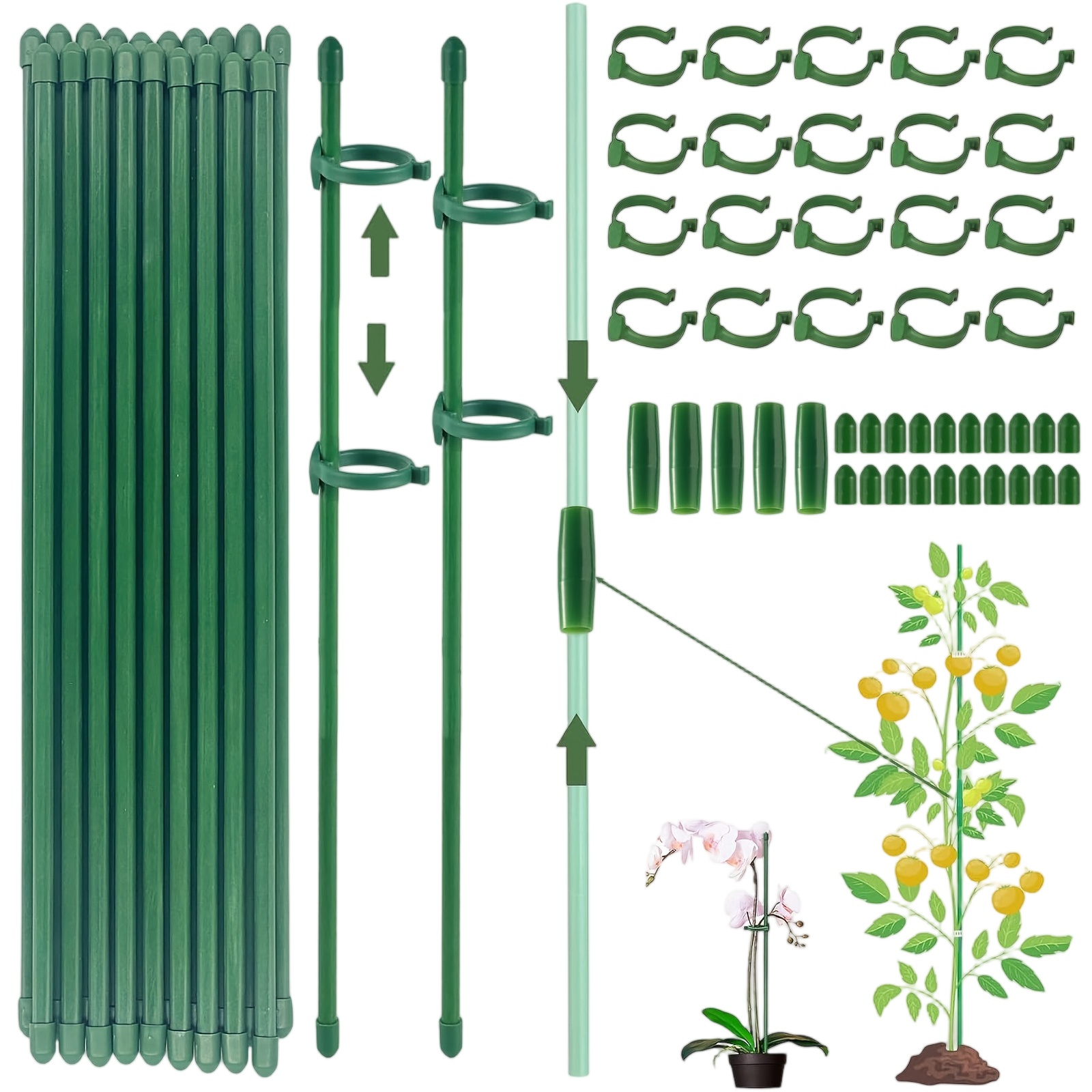 Florist Supply Bulk - Plantensteunen Staaf Houder voor enkelstammige struiken