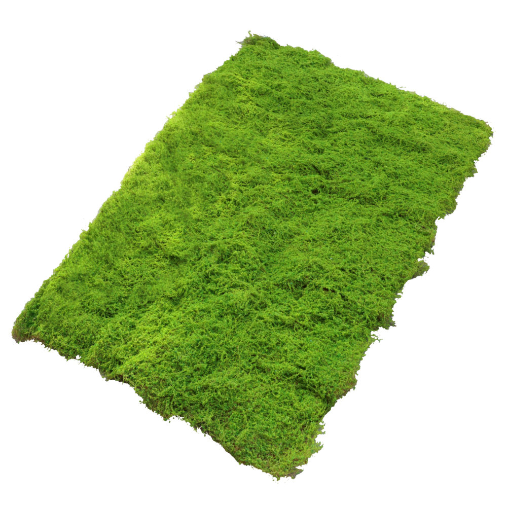 Kunstmatige mosmat, kunstgrasm - Preserved Moss Sheet recensie en prijs