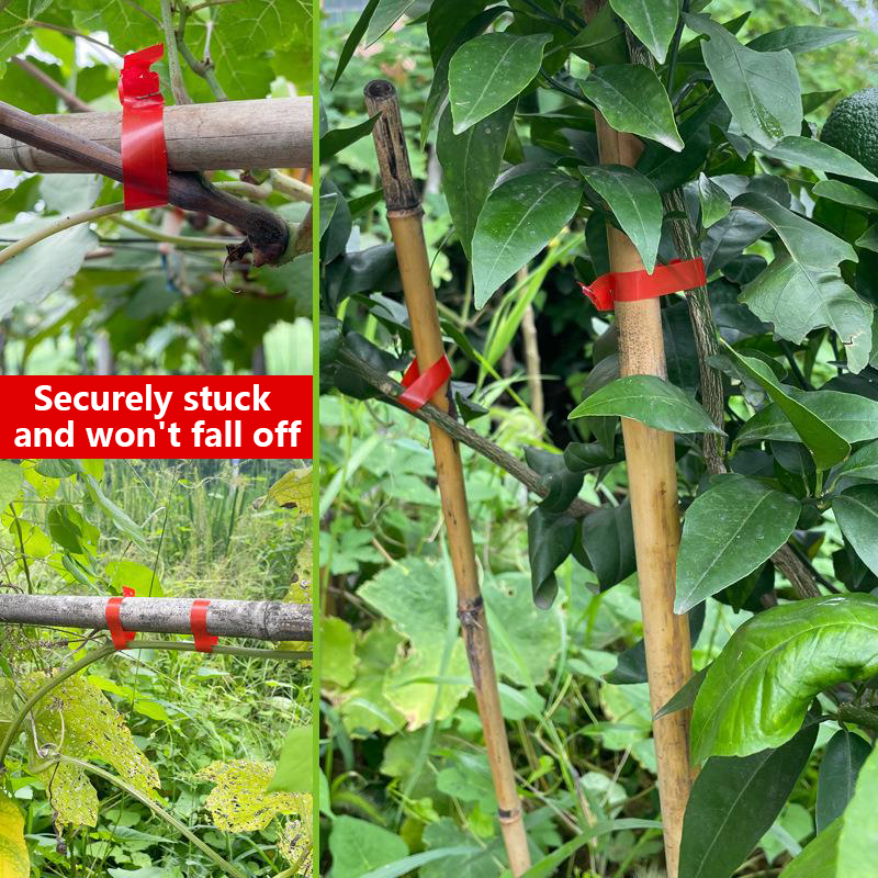 Huishoudelijke tuinplantbindma - Florist Supply Bulk recensie en prijs
