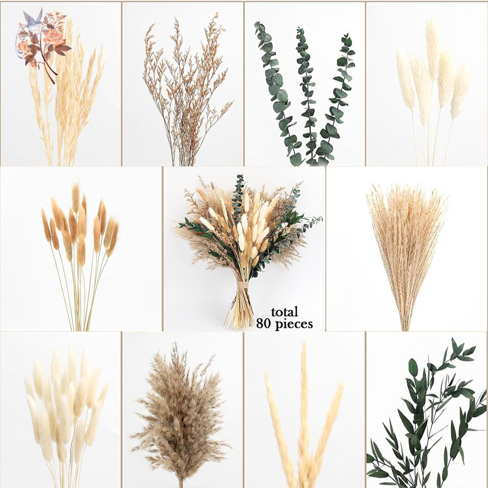 80 stuks natuurlijke gedroogde - Eucalyptus Preserved recensie en prijs
